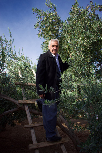Olive farmer Azad Faransay Ibrahim.